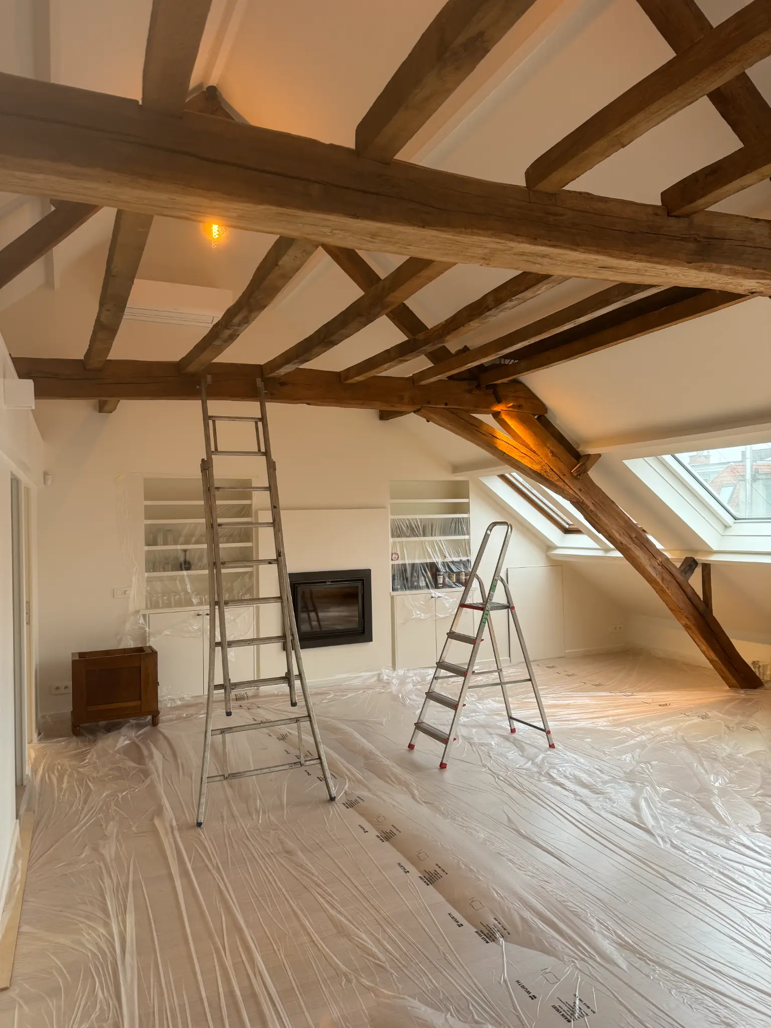 Houtaantastende Insecten