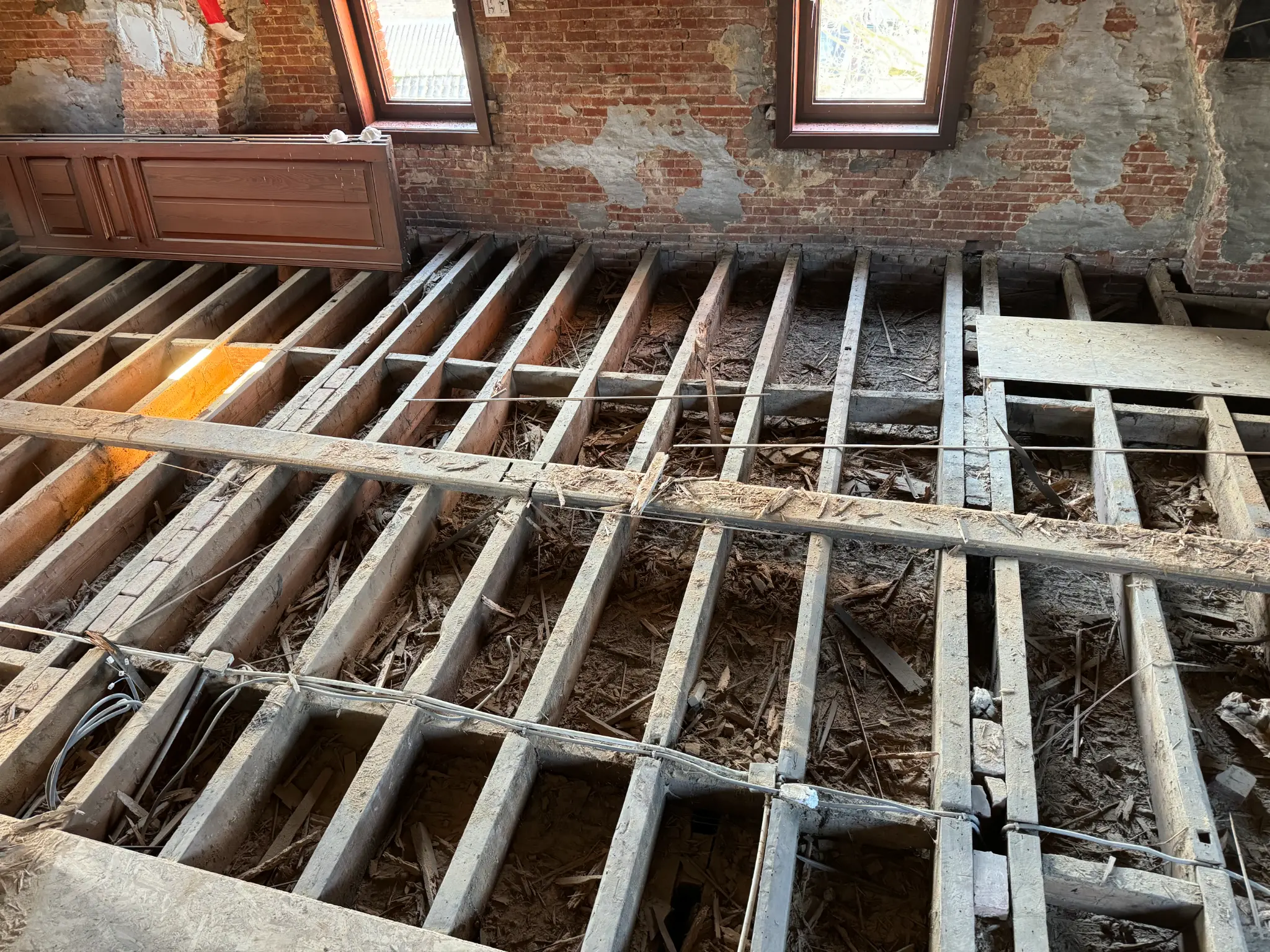 Houtaantastende Insecten voorbeeld 2