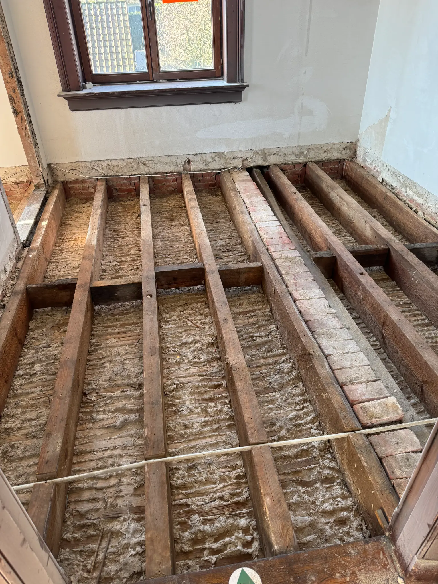 Houtaantastende Insecten voorbeeld 3