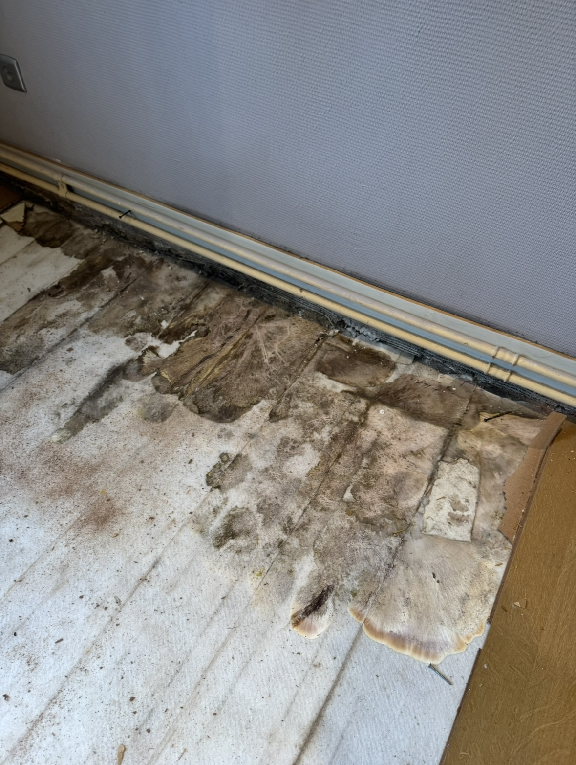 Zwambehandeling voorbeeld 2