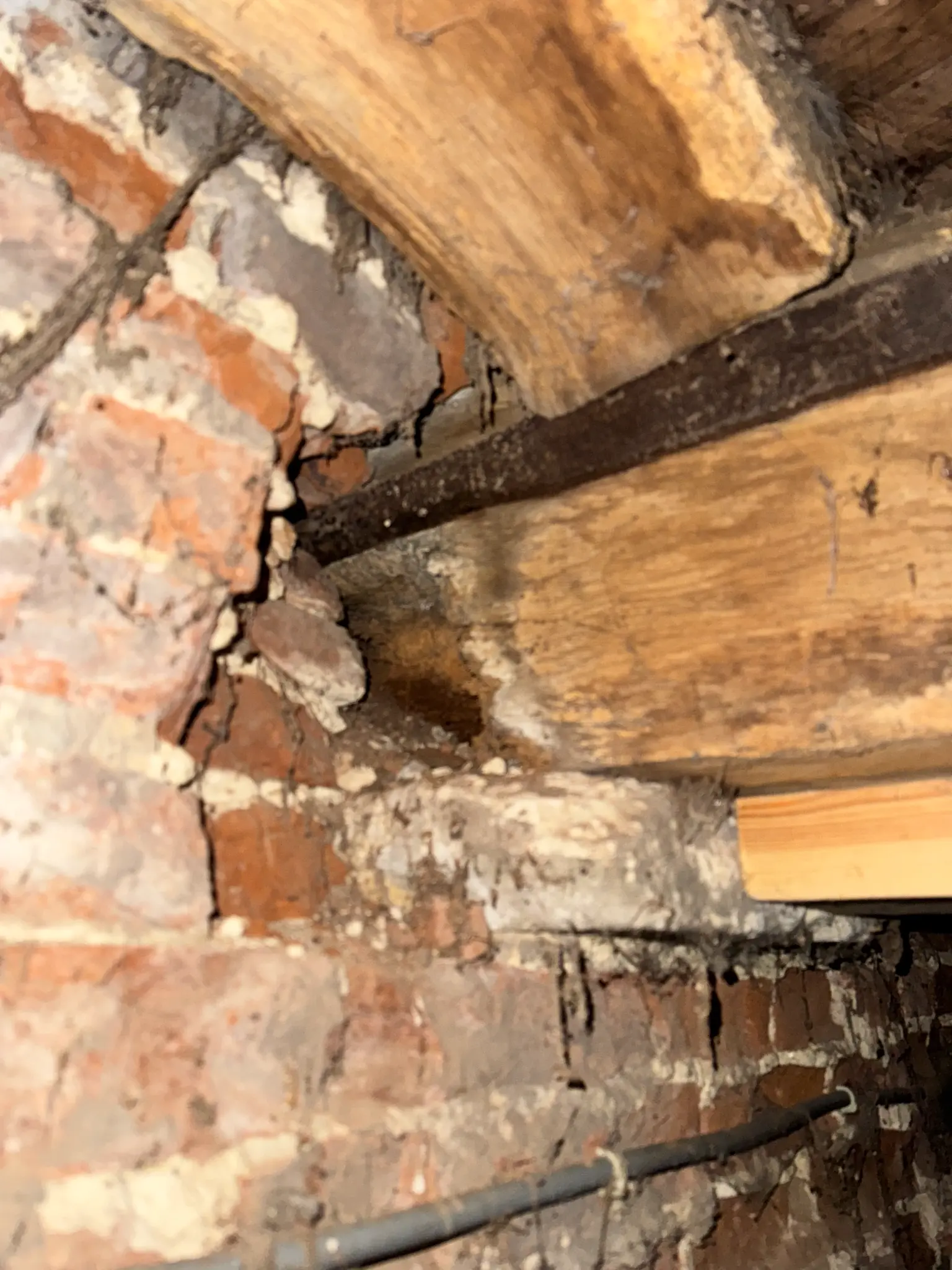 Zwambehandeling voorbeeld 3