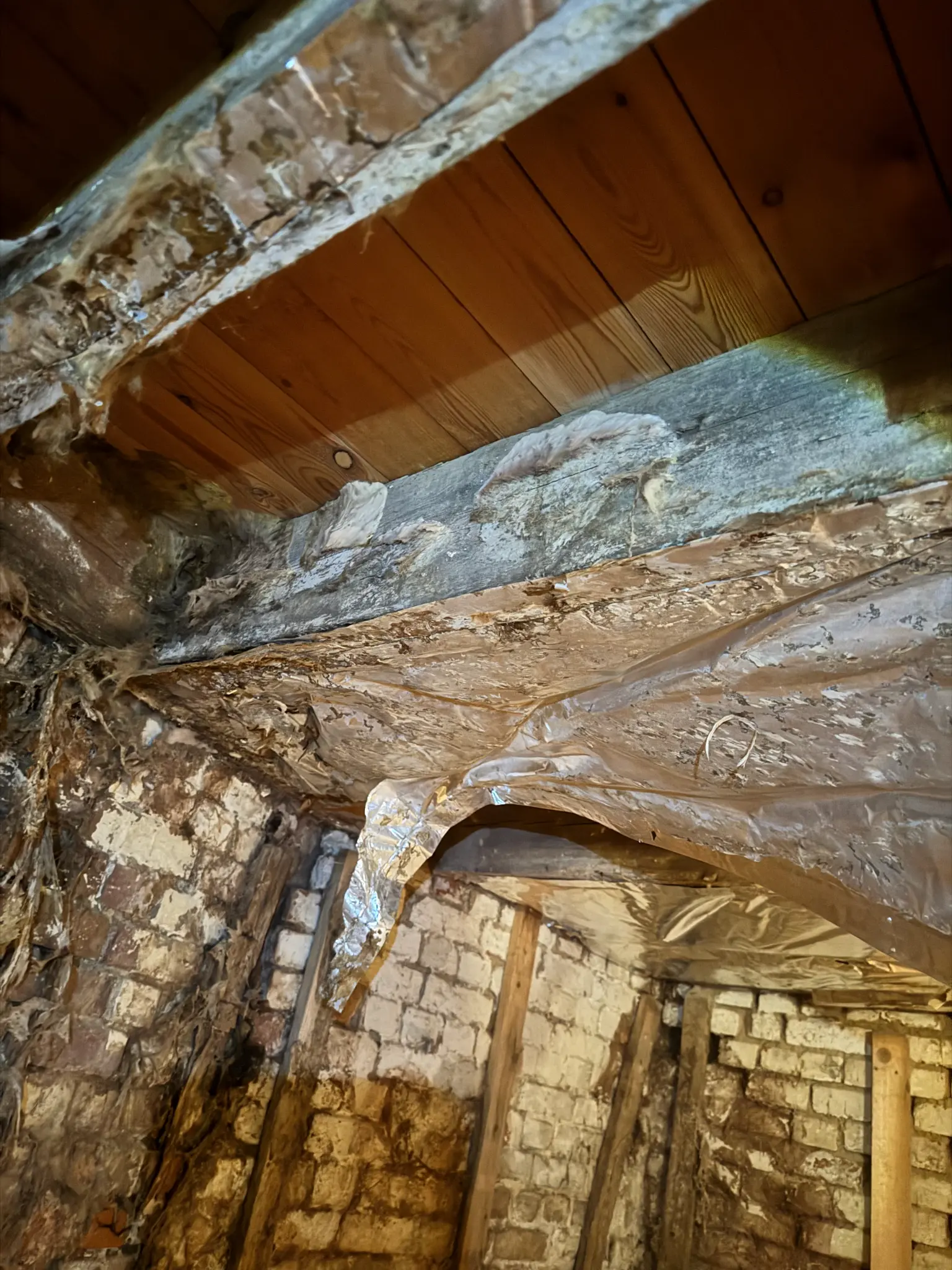 Zwambehandeling voorbeeld 4